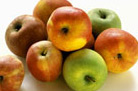 Apples Assorted Varieties ~ Organic ~ 1kg