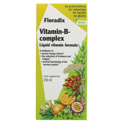 Floradix Vitamin-B-Complex Liquid Vitamin Formula 250ml