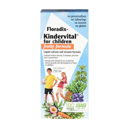 Floradix Salus Kindervital Fruity Formula for Children 250ml