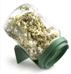 BioSnacky Sprouter Jar ~ Glass Germinator