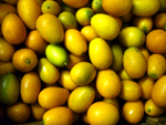 Kumquat ~ Organic ~250g