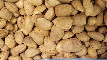 Almonds in their Shells Organic 500g