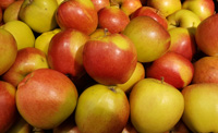 Apples Crimson Crisp ~ Organic ~ 500g