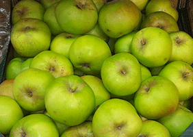 Apples ~ Bramley ~ Cooking ~ Organic ~ 1kg