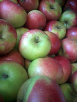 Apples Discovery ~ Local to us ~ Organic ~ 500g