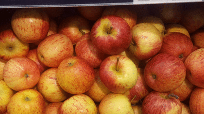 Apples Gala ~ Organic ~ 500g