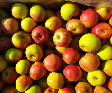 Apples Santana ~ Organic ~ 500g