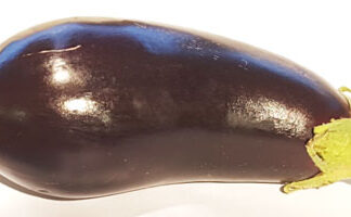 Aubergine ~ Organic