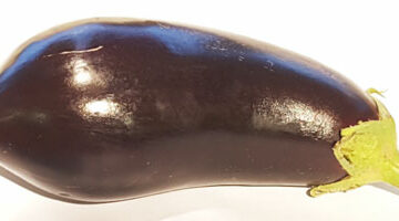 Aubergine ~ Organic ~