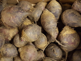 Beetroot Loose ~ Organic ~ 500g