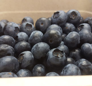 Blueberries ~ Organic Class 1