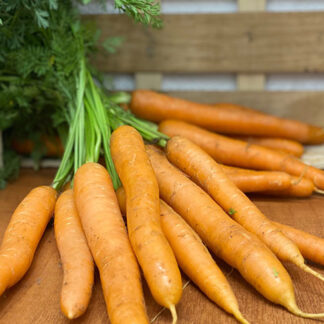 Carrots Bunched with Tops On ~ Organic
