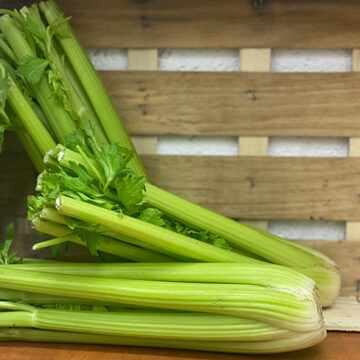 Celery ~ Organic