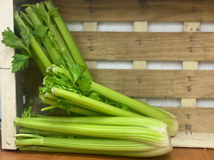 Celery ~ Organic