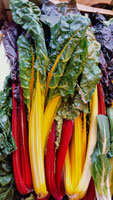 Chard Rainbow ~ Organic