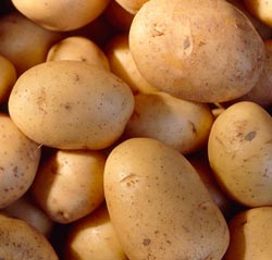 Potatoes ~ Bakers ~ Organic ~ 1kg