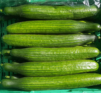 Cucumber ~ Organic Class 1
