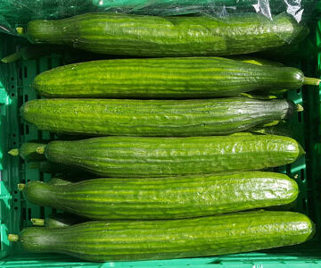 Cucumber ~ Organic Class 1