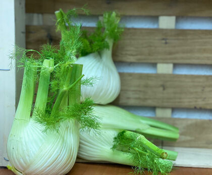 Fennel ~ Organic ~ Approx 300g per bulb