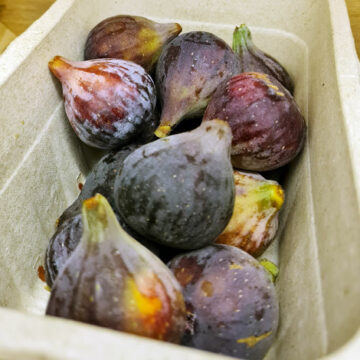 Figs Black ~ Organic