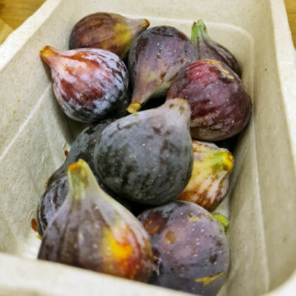 Figs Black ~ Organic