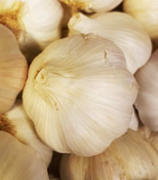 Garlic Bulb ~ Organic