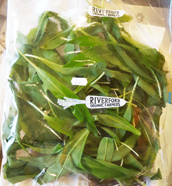 Garlic Wild Leaf Organic ~ 80g