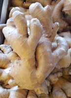 Ginger Root ~ Organic 100g