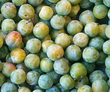 Greengage ~ Organic ~ 500g