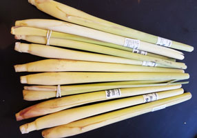 Lemongrass ~ Organic