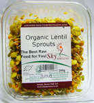 Sky Sprouts Organic Lentil Sprouts