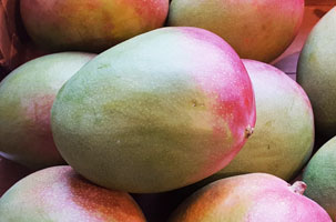 Mango ~ Organic