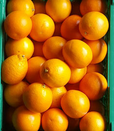 Oranges ~ Organic ~ 500g