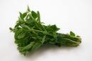 Oregano ~ Organic
