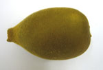 Kiwi Gold Organic