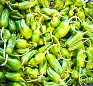 Peppers Padron Chillies 100g ~ Organic