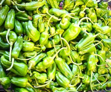 Peppers Padron Chillies 100g ~ Organic