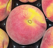 Peach ~ Organic ~ Class 2