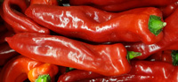 Peppers Ramiro Red ~ Organic