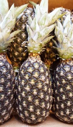 Pineapple Organic (Whole)