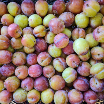 Plums ~ Organic ~ 500g