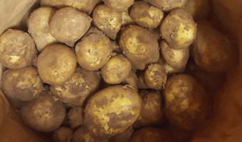 Potatoes Orla ~ Organic ~ 1kg