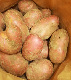 Potatoes Red ~ Organic ~ 1kg