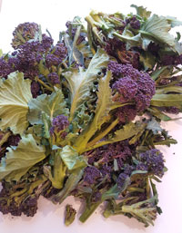 Purple Sprouting Broccoli ~ Organic~ 200g