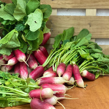 Radish ~ Organic