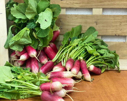 Radish ~ Organic