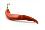 Peppers Chilli Red ~ Organic