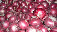 Onions Red ~ Organic ~ 500g