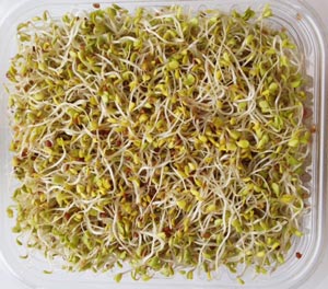 Sky Sprouts Organic Alfalfa & Broccoli Sprouts