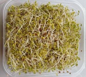 Sky Sprouts Organic Alfalfa Sprouts